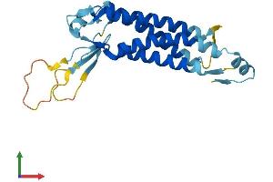 AlphaFold protein structure predicition of Human Recombinant LHFPL2 Protein, UniprotID Q6ZUX7