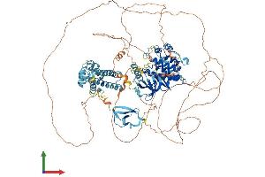 AlphaFold protein structure predicition of Human Recombinant KSR2 Protein, UniprotID Q6VAB6