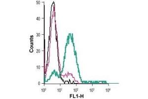 Cell surface detection of EphA3 in live intact human Jurkat T-cell leukemia cells: (black line) Cells. (EPH Receptor A3 抗体  (Extracellular, N-Term))