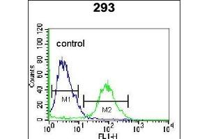 OR4F15 Antibody (N-term) (ABIN655291 and ABIN2844880) flow cytometric analysis of 293 cells (right histogram) compared to a negative control cell (left histogram). (OR4F15 抗体  (N-Term))