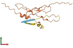 AlphaFold protein structure predicition of Human Recombinant HCP5 Protein, UniprotID Q6MZN7