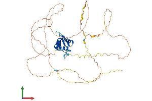 Protein Structure (PS) image for Forkhead Box F2 (FOXF2) (AA 1-444) protein (His tag) (ABIN7547745)