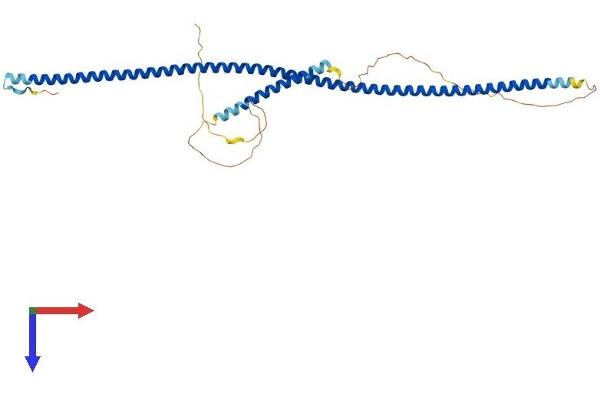 NDEL1 Protein (AA 1-345) (His tag)