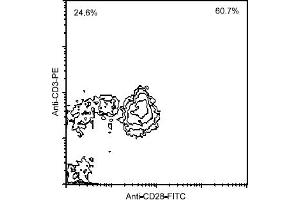 Flow Cytometry (FACS) image for anti-CD28 (CD28) antibody (FITC) (ABIN371358) (CD28 抗体  (FITC))
