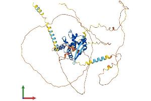 Protein Structure (PS) image for AT Rich Interactive Domain 3B (BRIGHT-Like) (ARID3B) (AA 1-561) protein (His tag) (ABIN7552353)