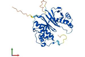 AlphaFold protein structure predicition of Human Recombinant AASDHPPT Protein, UniprotID Q9NRN7 (AASDHPPT Protein (AA 1-309) (His tag))