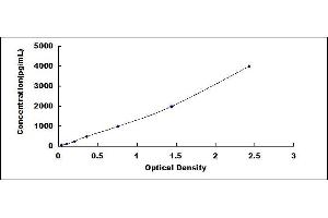 Typical standard curve (TREM2 ELISA 试剂盒)