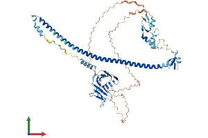 Protein Structure (PS) image for Tripartite Motif Containing 41 (TRIM41) (AA 1-630) protein (His tag) (ABIN7544679)