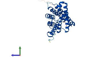 Protein Structure (PS) image for Aquaporin 8 (AQP8) (AA 1-261) protein (His tag) (ABIN7552228)