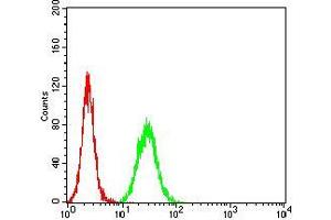 Flow cytometric analysis of Hela cells using THBS1 mouse mAb (green) and negative control (red). (Thrombospondin 1 抗体  (AA 750-850))