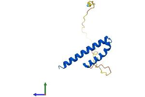 Protein Structure (PS) image for Cyclin-Dependent Kinase 2 Associated Protein 1 (CDK2AP1) (AA 1-115) protein (His tag) (ABIN7553161)