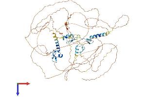 AlphaFold protein structure predicition of Human Recombinant ATXN7L1 Protein, UniprotID Q9ULK2 (ATXN7L1 Protein (AA 1-861) (His tag))
