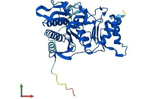 Protein Structure (PS) image for Fructose-1,6-Bisphosphatase 2 (FBP2) (AA 1-339) protein (His tag) (ABIN7547640)