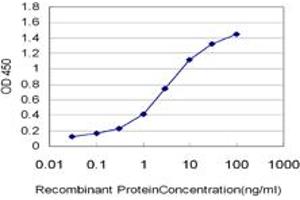 Detection limit for recombinant GST tagged EPHB3 is approximately 0. (EPH Receptor B3 抗体  (AA 899-997))