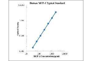 ELISA image for Chemokine (C-C Motif) Ligand 2 (CCL2) ELISA Kit (ABIN2472081)