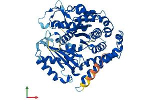 Protein Structure (PS) image for Tubulin, beta 3 (TUBB3) (AA 1-450) protein (His tag) (ABIN7561431)