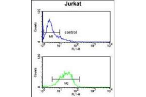 Flow cytometry analysis of Jurkat cells (bottom histogram) compared to a negative control cell (top histogram). (IGFALS 抗体  (AA 308-335))