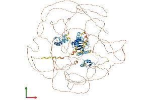 AlphaFold protein structure predicition of Human Recombinant RBM20 Protein, UniprotID Q5T481