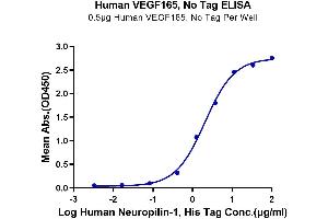 Immobilized Human VEGF165, No Tag at 5 μg/mL (100 μL/well) on the plate. (VEGF 165 蛋白)