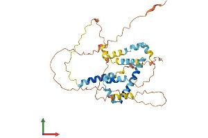 Protein Structure (PS) image for BCL2-Like 12 (Proline Rich) (BCL2L12) (AA 1-334) protein (His tag) (ABIN7552626)