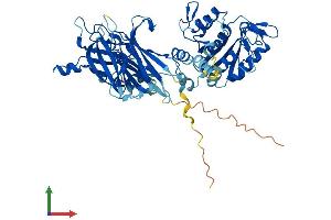 Protein Structure (PS) image for Copine VIII (CPNE8) (AA 1-564) protein (His tag) (ABIN7546720)