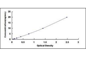 Typical standard curve (CHRM3 ELISA 试剂盒)