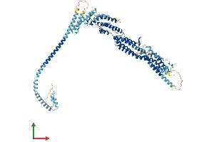 Protein Structure (PS) image for Conserved oligomeric Golgi complex subunit 2 (COG2) (AA 1-731) protein (His tag) (ABIN7560197)