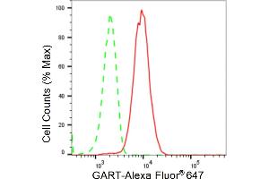 Flow cytometric analysis of GART expression in HT- cells using GART antibody (ABIN7799834), 1:2,000). (Recombinant GART 抗体)