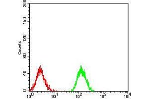 Flow cytometric analysis of Jurkat cells using PLCG1 mouse mAb (green) and negative control (red). (Phospholipase C gamma 1 抗体  (AA 1192-1291))