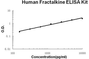 Human Fractalkine/CX3CL1 Accusignal ELISA Kit Human Fractalkine/CX3CL1 AccuSignal ELISA Kit standard curve. (CX3CL1 ELISA 试剂盒)