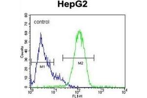 Image no. 1 for anti-Nanog Homeobox (NANOG) (AA 25-54), (N-Term) antibody (ABIN357014) (Nanog 抗体  (N-Term))
