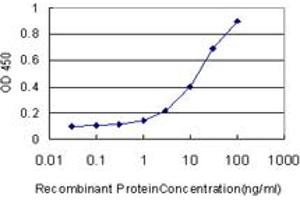 Detection limit for recombinant GST tagged HSPC111 is approximately 1ng/ml as a capture antibody. (NOP16 抗体  (AA 1-178))