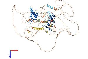 AlphaFold protein structure predicition of Human Recombinant SOWAHB Protein, UniprotID A6NEL2