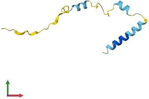 Protein Structure (PS) image for Nuclear Protein, Transcriptional Regulator, 1 (NUPR1) (AA 1-82) protein (Fc Tag) (ABIN7550410)