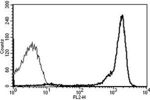 Flow Cytometry (FACS) image for anti-Protein tyrosine Phosphatase, Receptor Type, C (PTPRC) antibody (PE) (ABIN1106398) (CD45 抗体  (PE))