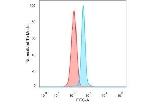 Flow cytometric analysis of PFA-fixed HeLa cells. (HDAC6 抗体)