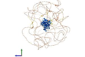 Protein Structure (PS) image for Insulin Receptor Substrate 1 (IRS1) (AA 1-1233) protein (His tag) (ABIN7563177)