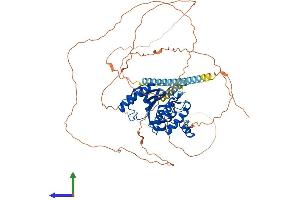 Protein Structure (PS) image for SUMO1/sentrin Specific Peptidase 1 (SENP1) (AA 1-644) protein (His tag) (ABIN7555471)