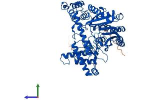 Protein Structure (PS) image for Glutamic Pyruvate Transaminase (Alanine Aminotransferase) 2 (GPT2) (AA 1-522) protein (His tag) (ABIN7558582)