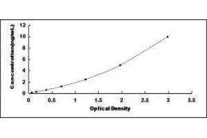 Typical standard curve (HSD11B1L ELISA 试剂盒)