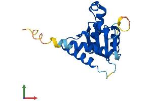 Protein Structure (PS) image for Growth Arrest and DNA-Damage-Inducible, gamma (GADD45G) (AA 1-159) protein (His tag) (ABIN7556369)