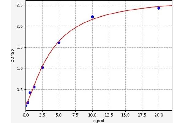 NLRP3 ELISA 试剂盒