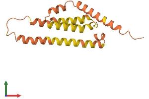 AlphaFold protein structure predicition of Human Recombinant DAOA Protein, UniprotID P59103
