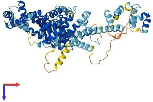 Protein Structure (PS) image for Negative Regulator of Ubiquitin-Like Proteins 1 (NUB1) (AA 1-614) protein (His tag) (ABIN7556167)