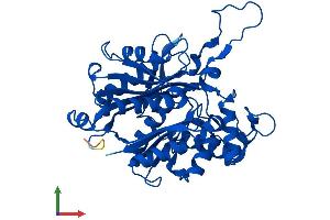 AlphaFold protein structure predicition of Mouse Recombinant Acat2 Protein, UniprotID Q8CAY6
