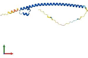 AlphaFold protein structure predicition of Human Recombinant MAFF Protein, UniprotID Q9ULX9