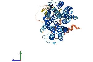 Protein Structure (PS) image for Solute Carrier Family 29 Member 3 (SLC29A3) (AA 1-475) protein (His tag) (ABIN7560452)