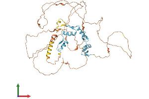 Protein Structure (PS) image for Zinc Finger Protein 683 (ZNF683) (AA 1-524) protein (His tag) (ABIN7545351)