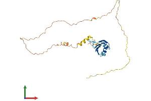 Protein Structure (PS) image for serine/arginine-Rich Splicing Factor 10 (SRSF10) (AA 1-262) protein (His tag) (ABIN7556203)