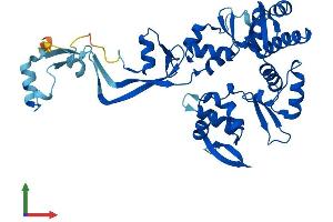 Protein Structure (PS) image for Sister Chromatid Cohesion Protein DCC1 (DSCC1) (AA 1-399) protein (His tag) (ABIN7556975)
